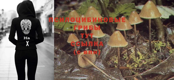 Альфа ПВП Михайлов