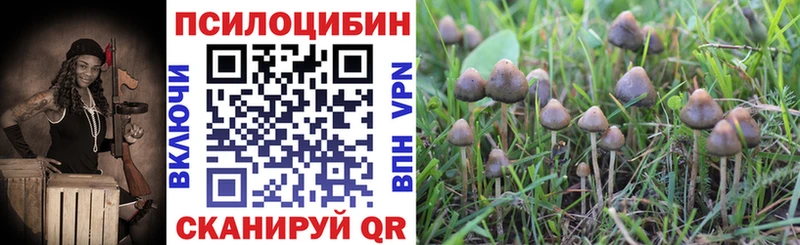 купить закладку  mega tor  Псилоцибиновые грибы мицелий  Ангарск 